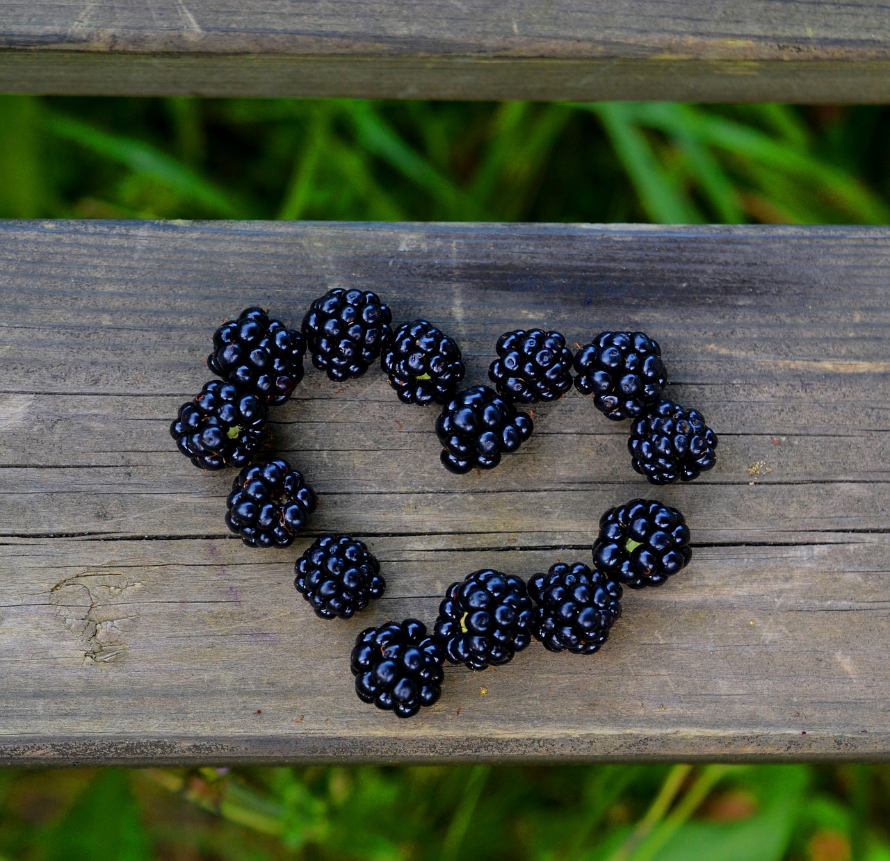 heart blackberries love free photo