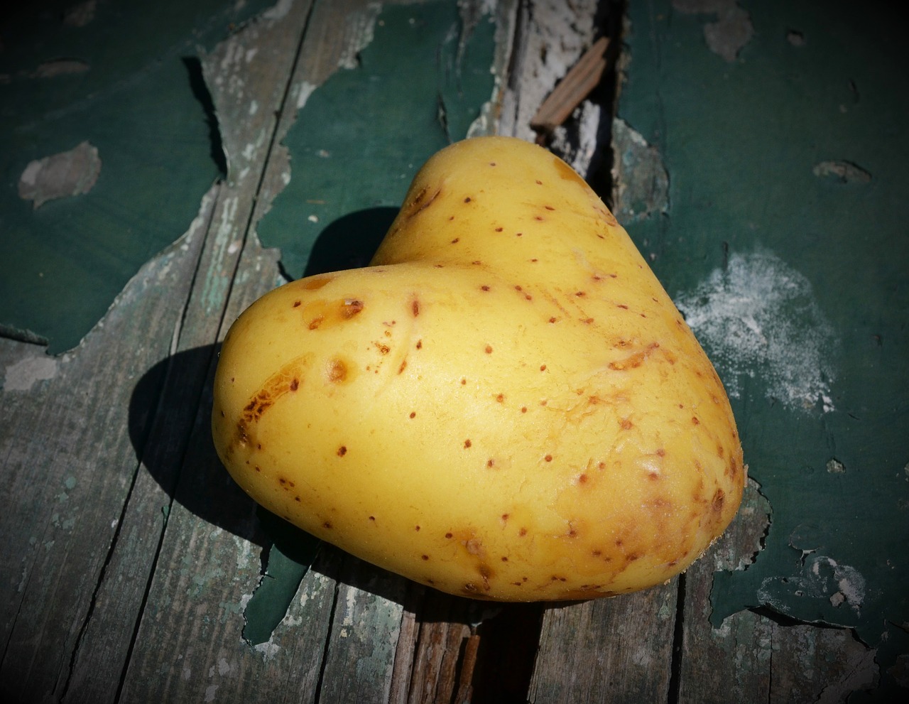 heart potato love free photo