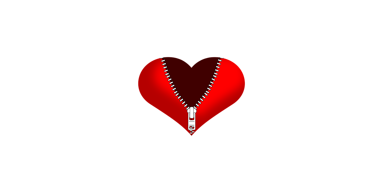 heart heart with zipper zipper free photo