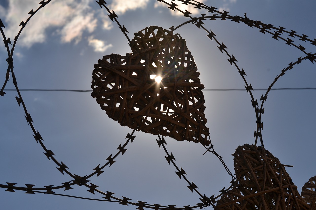 heart security fence sunlight free photo