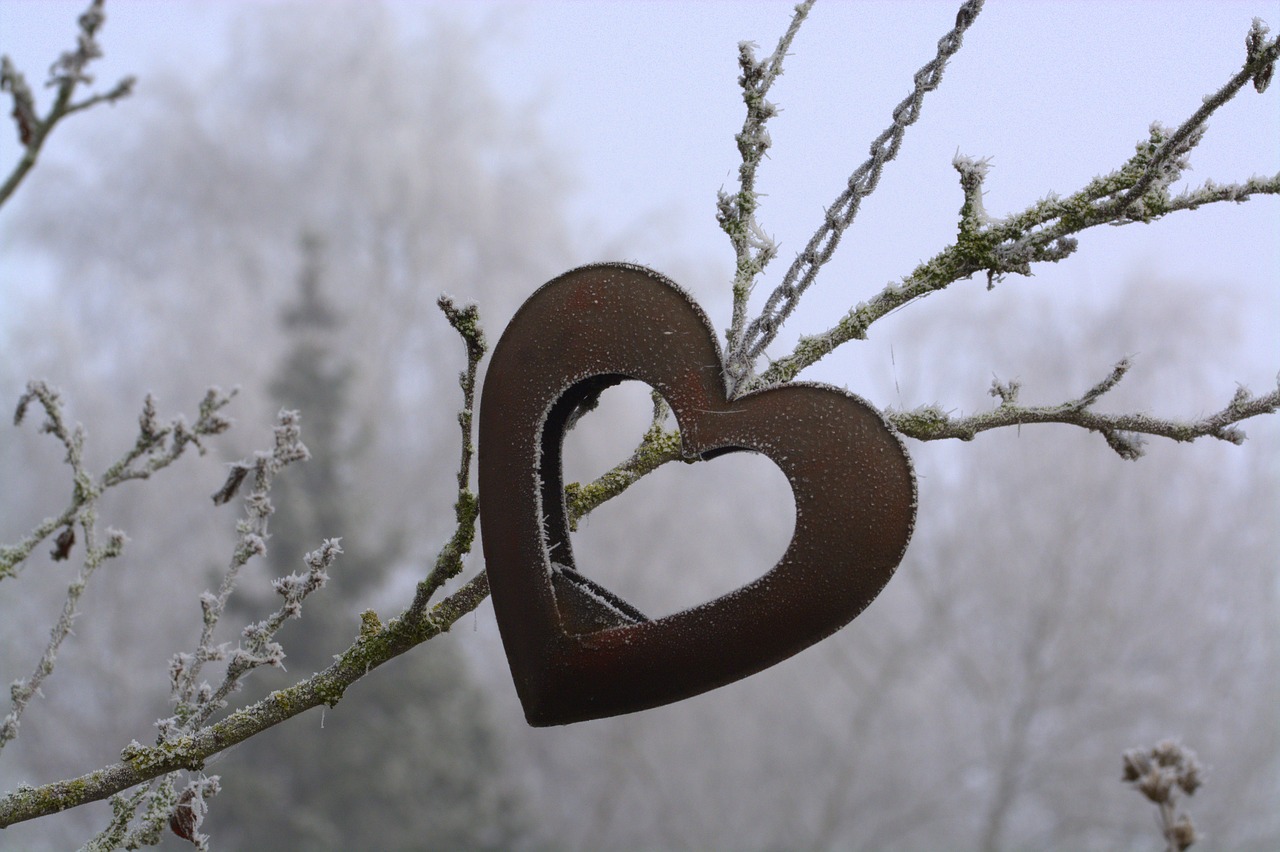 heart cold winter free photo