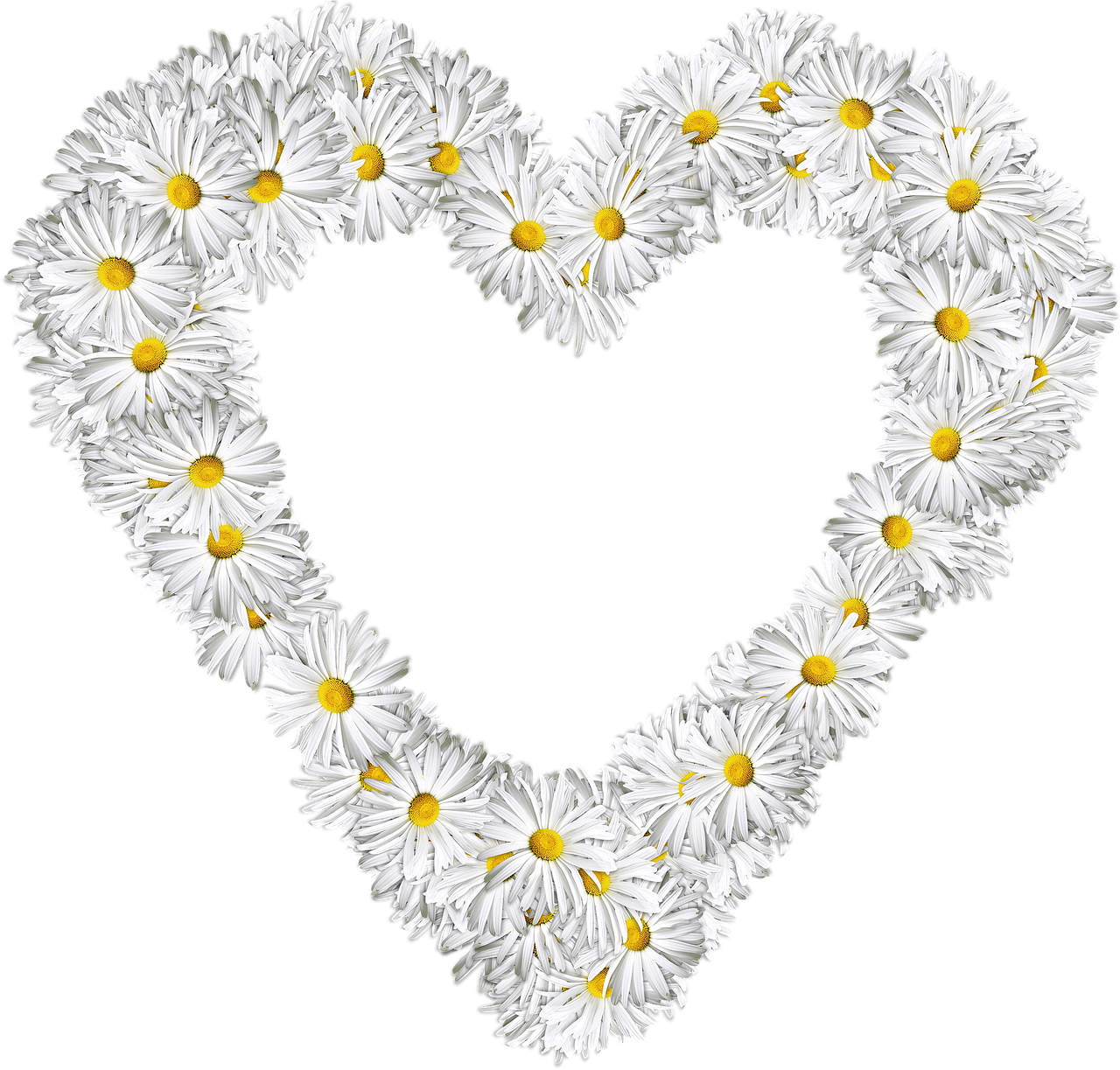 heart flowers png free photo