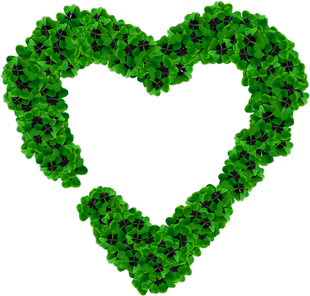 heart clover png free photo