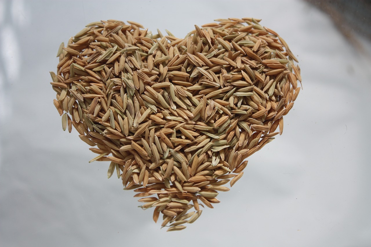 heart rice rice heart free photo