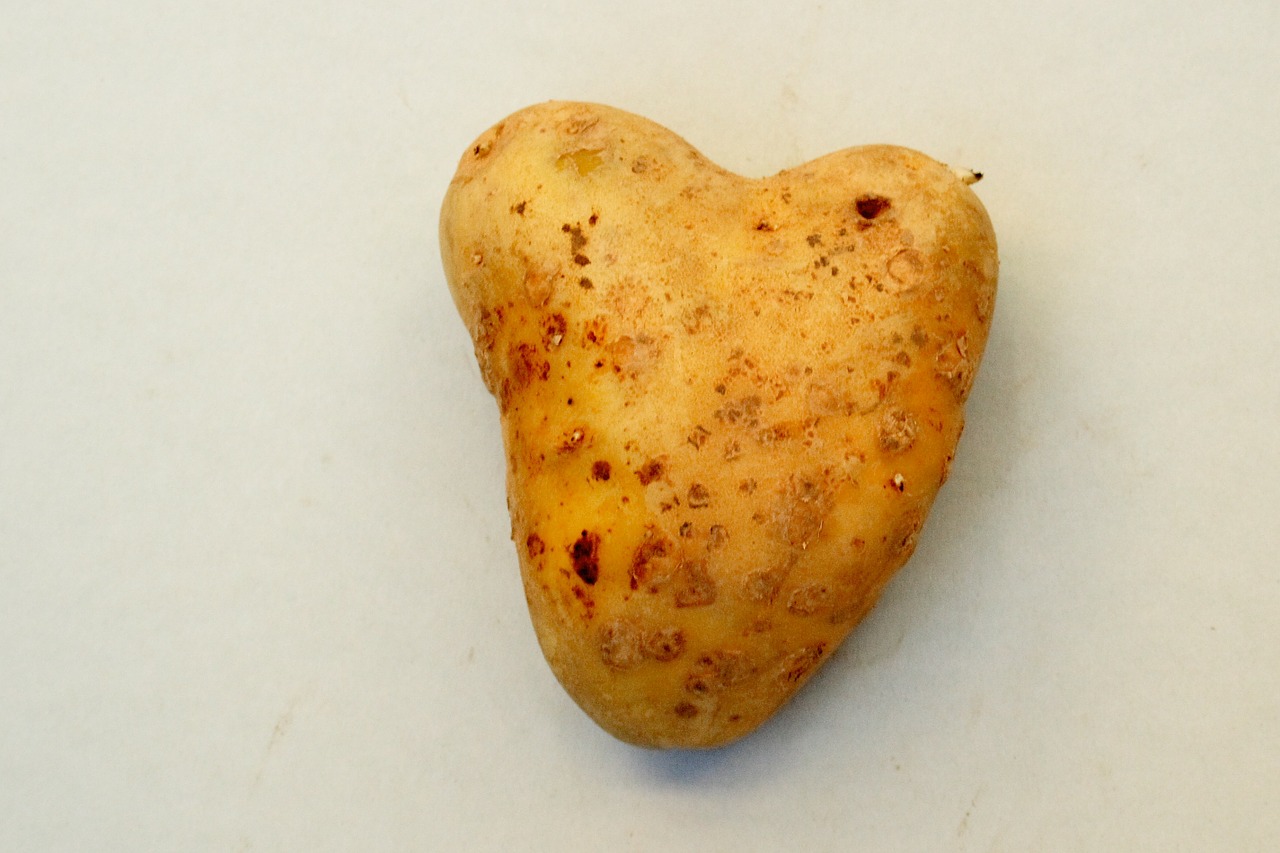 heart tuber potato free photo