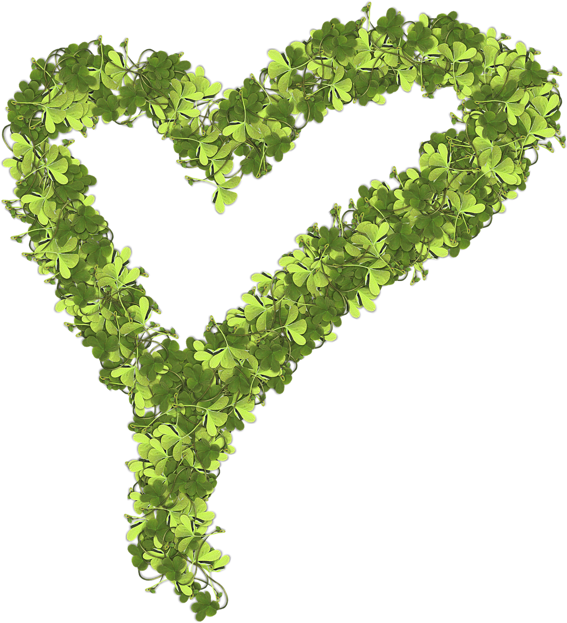 heart leaves png free photo