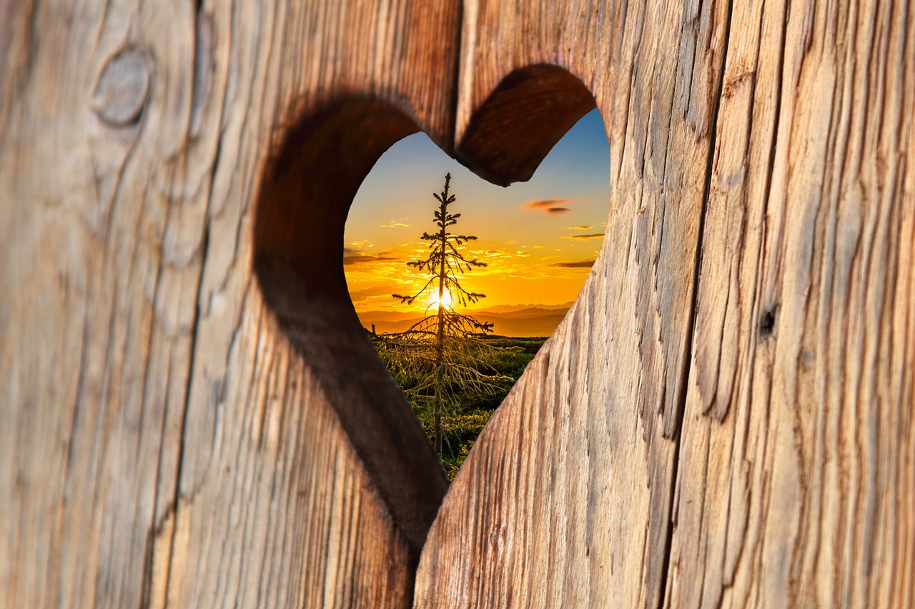 heart wood love free photo