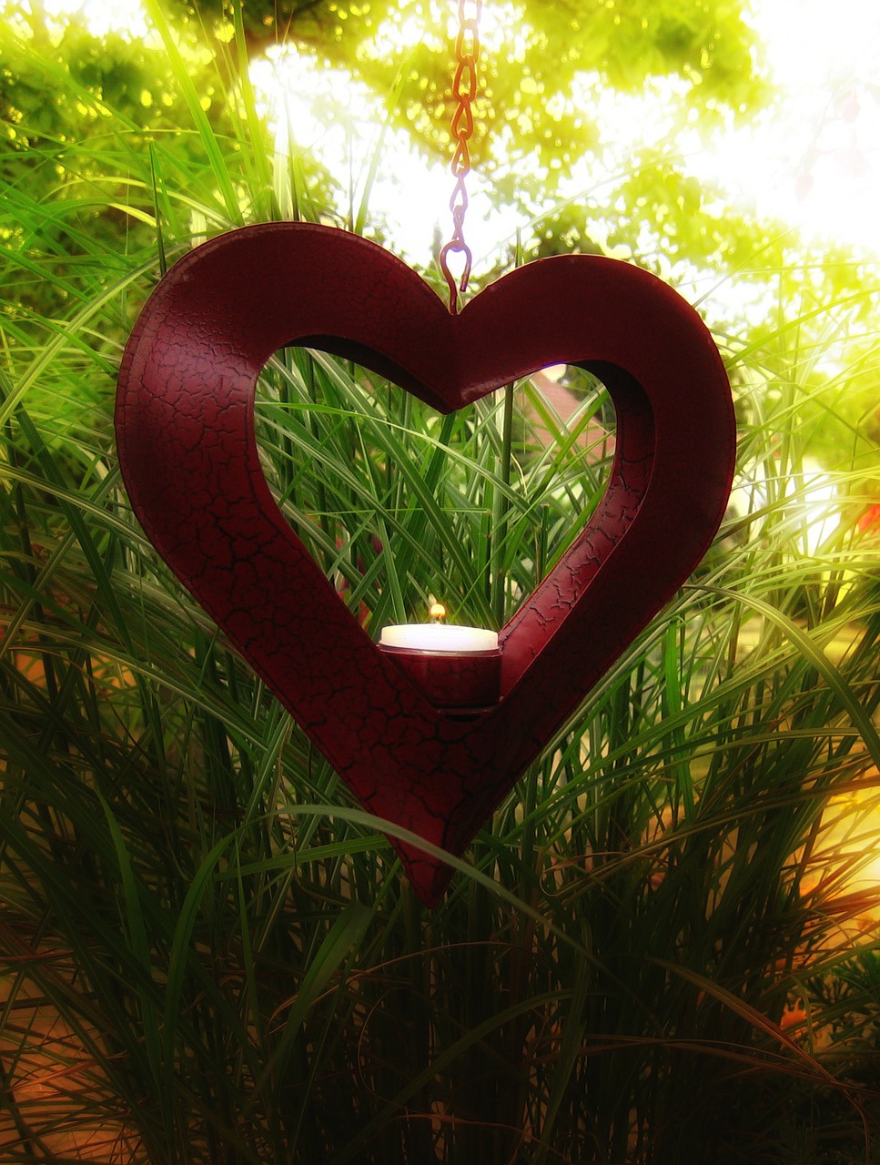 heart love affection free photo