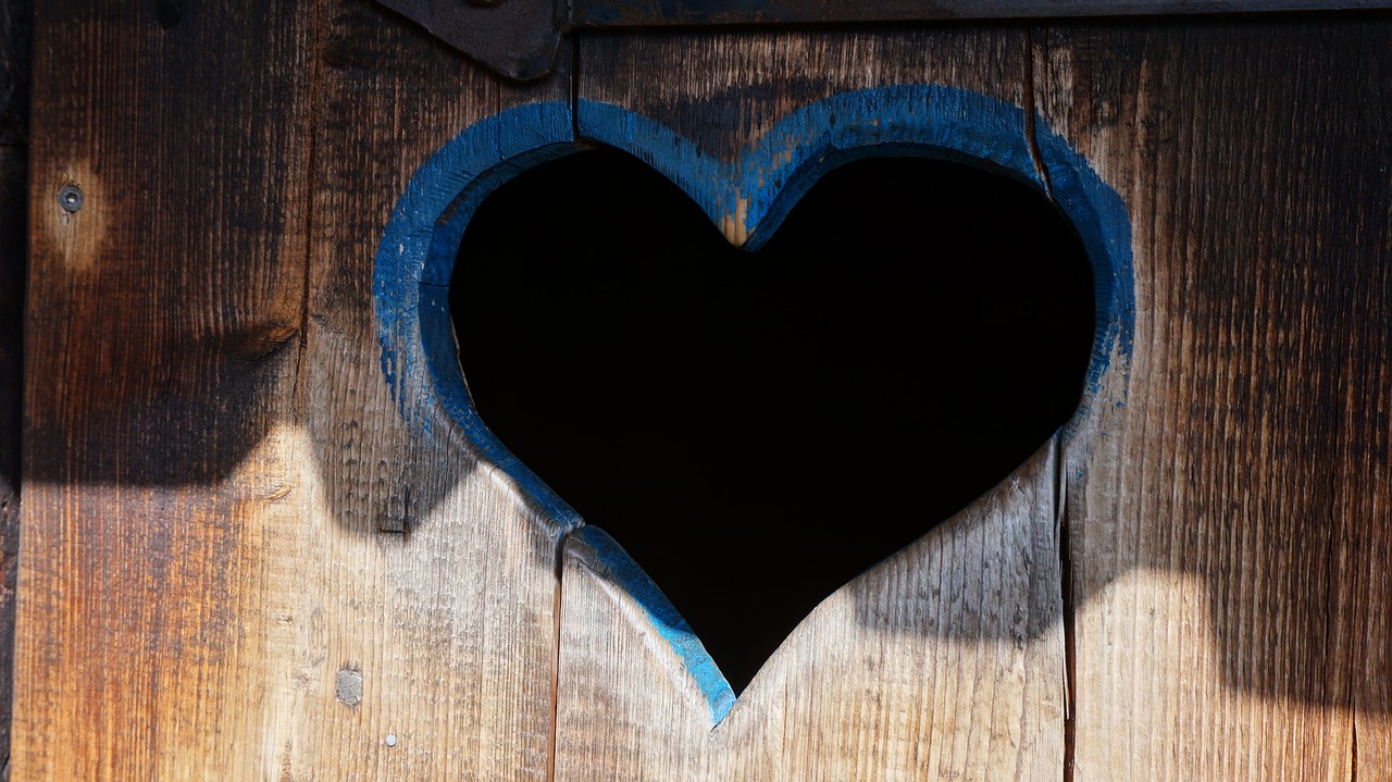 heart toilet door wooden door free photo