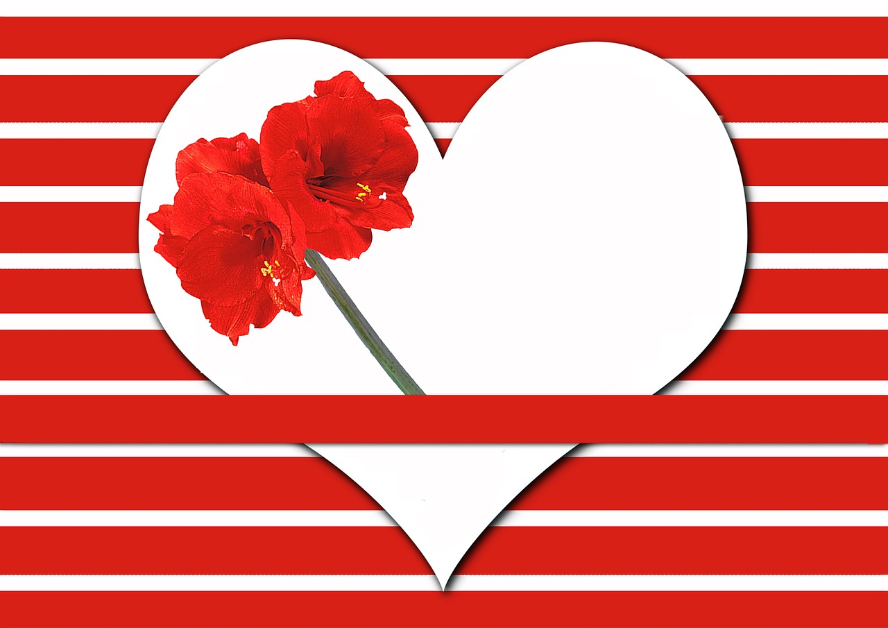 heart amaryllis stripes free photo