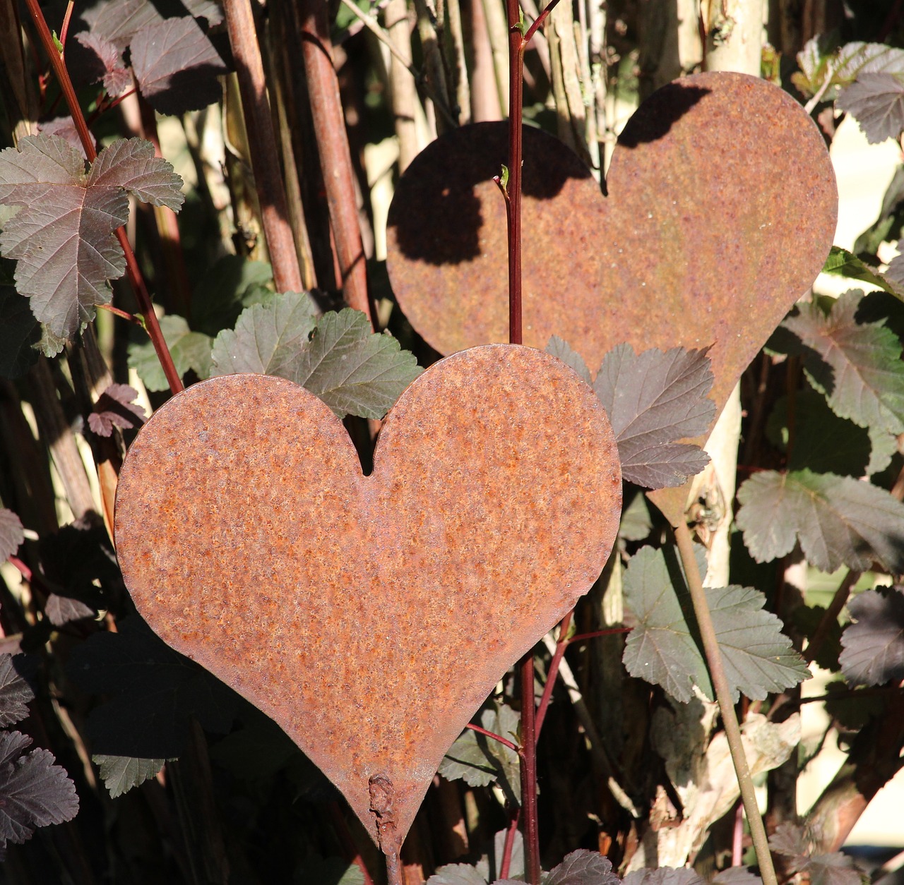 heart stainless metal free photo