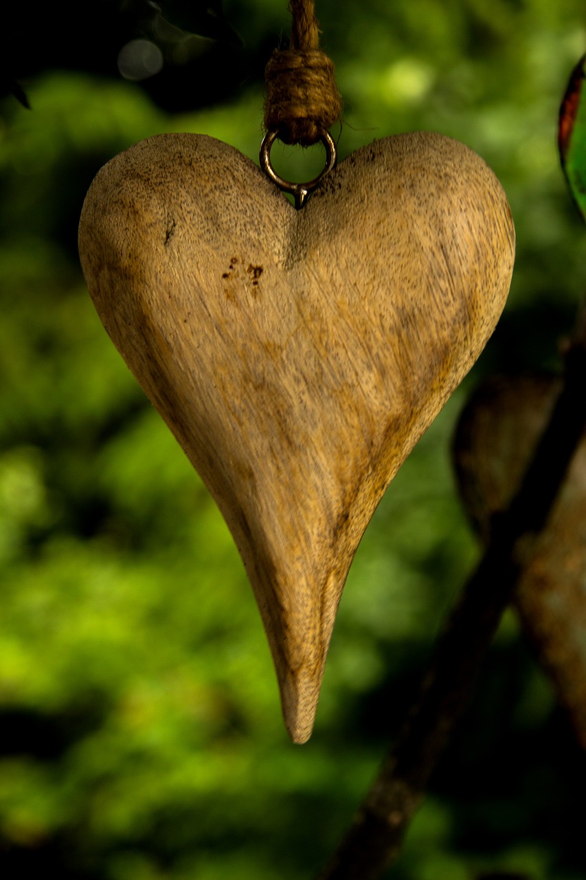 heart love garden free photo