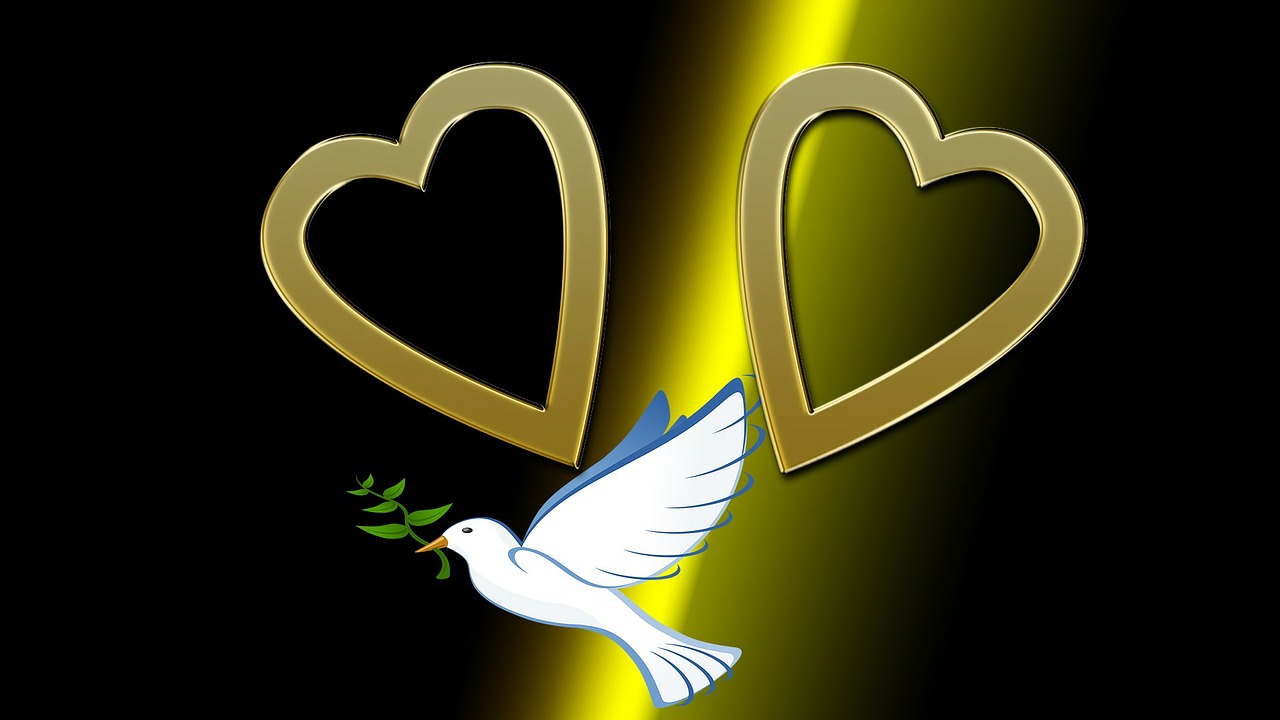 heart dove love free photo