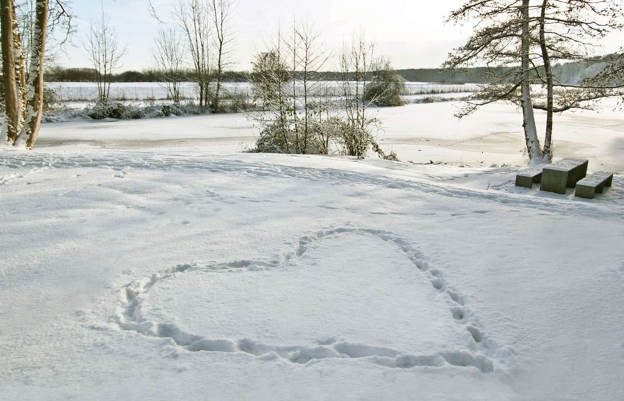 heart snow love free photo