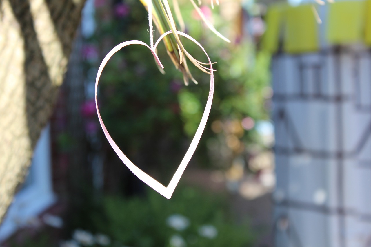 heart decoration love free photo