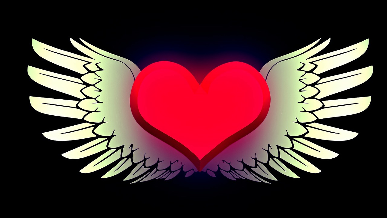 heart wing love free photo