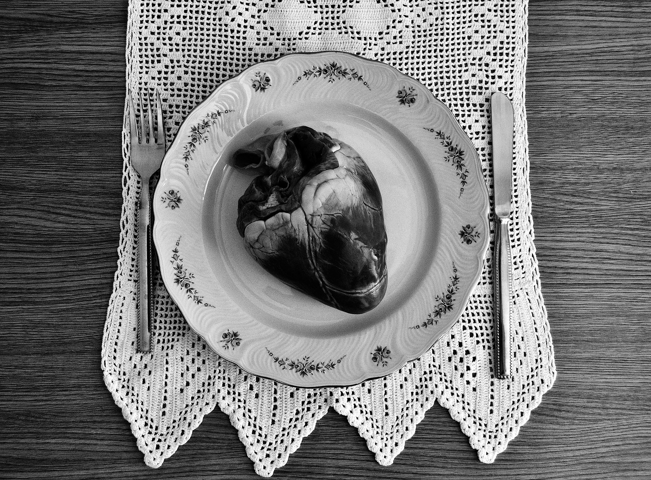 heart cow dish free photo