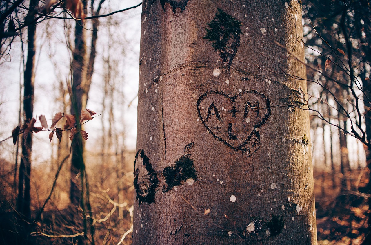 heart love tree free photo