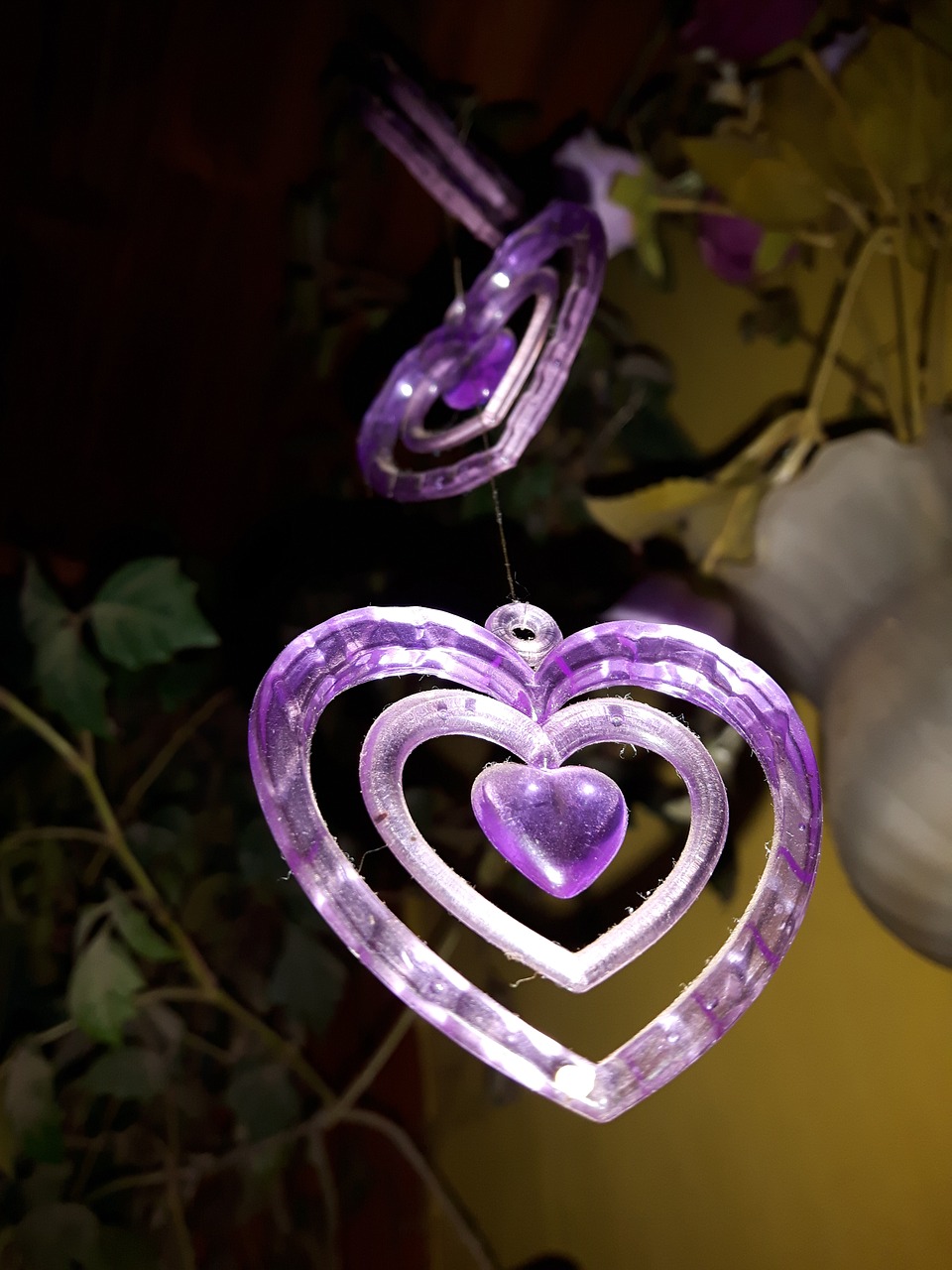 heart glass love free photo