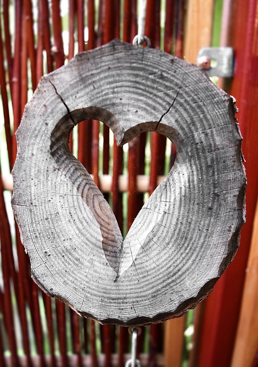 heart wood horticulture free photo