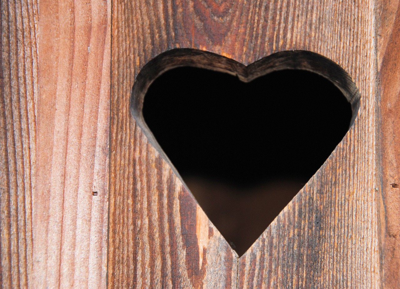heart wooden door heart door free photo