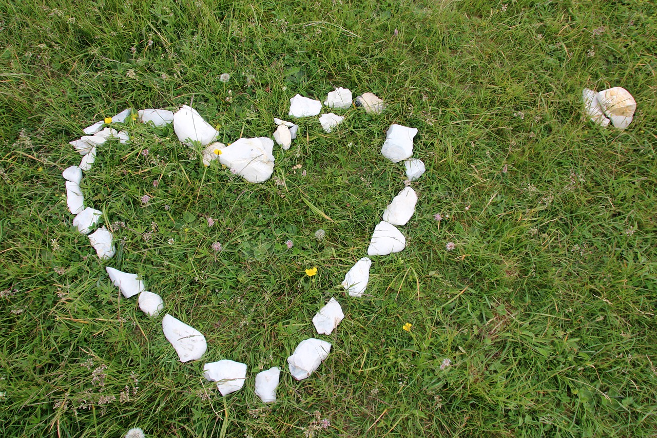 heart stone heart meadow free photo