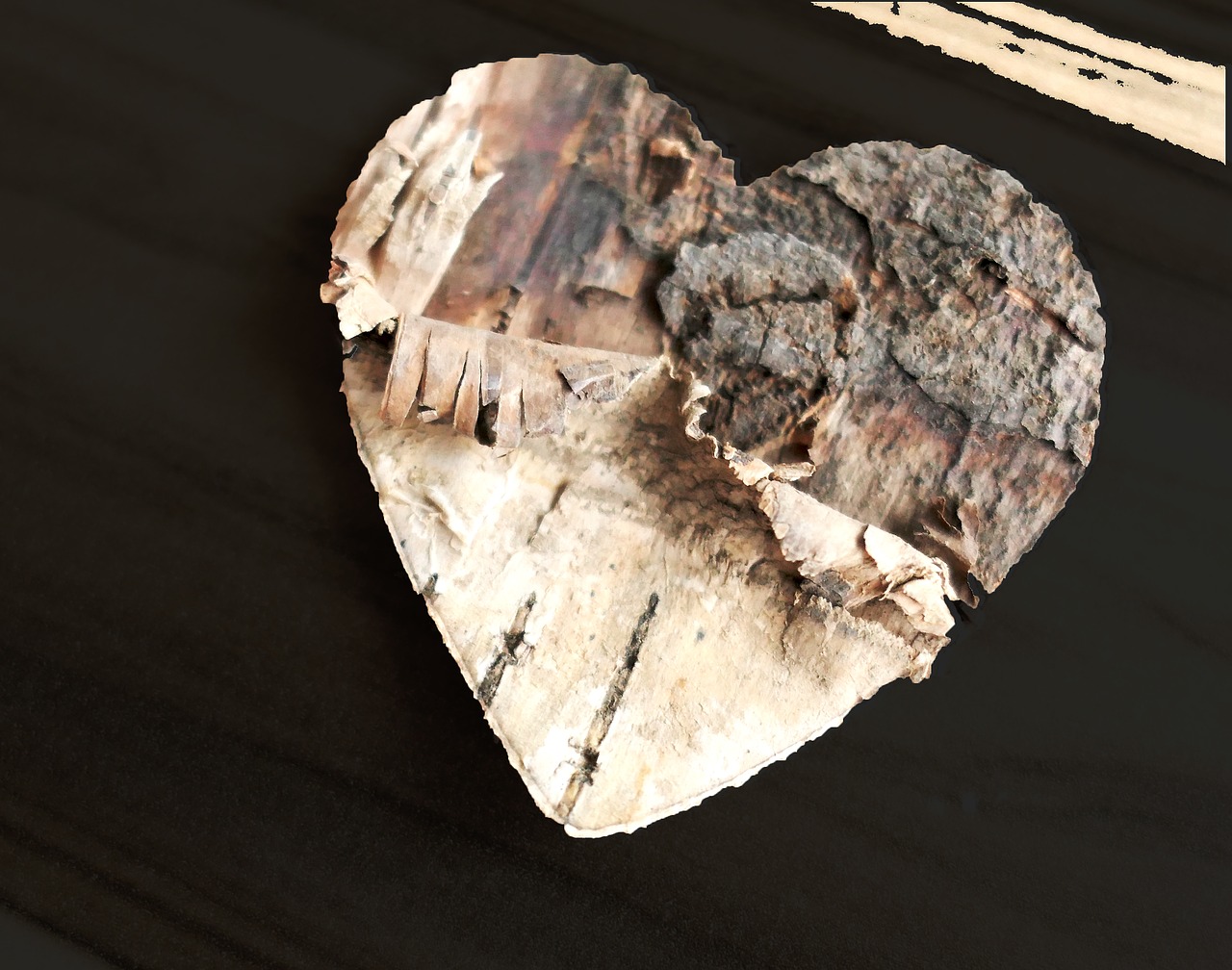 heart wood love free photo