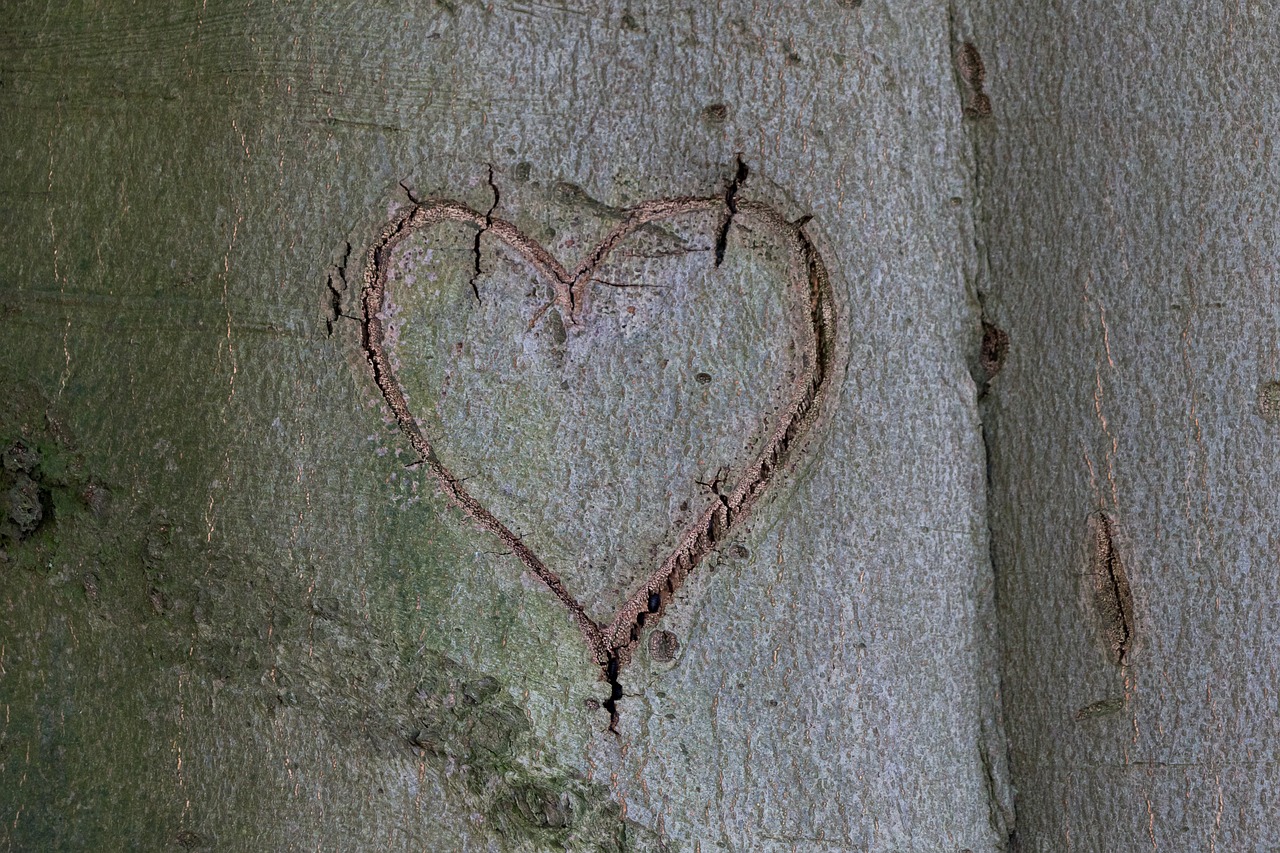 heart tree wooden structure free photo
