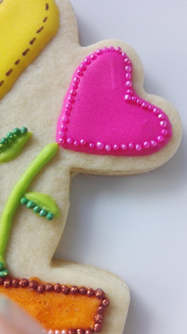 heart pearl cookie free photo