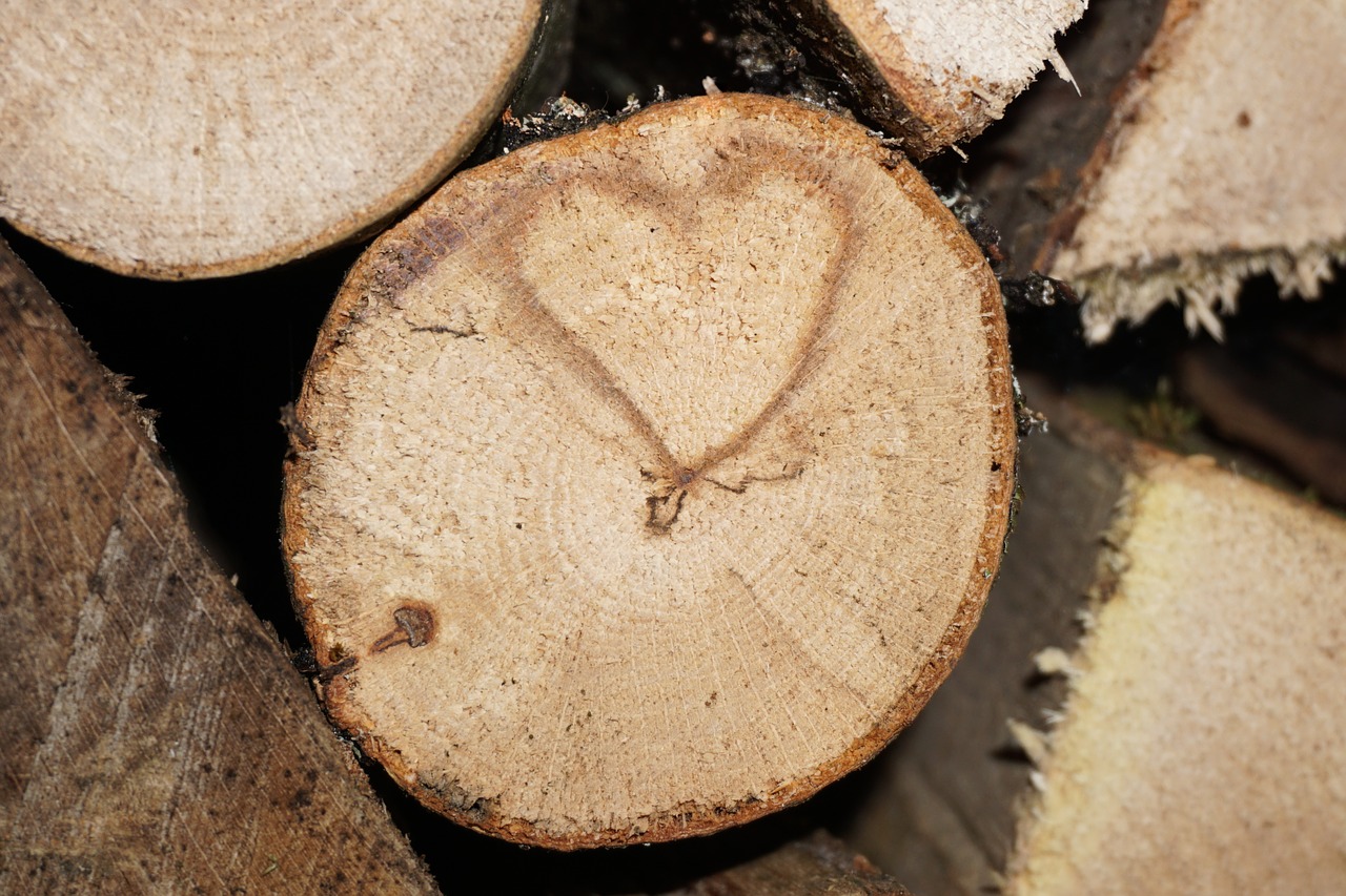 heart love wood free photo