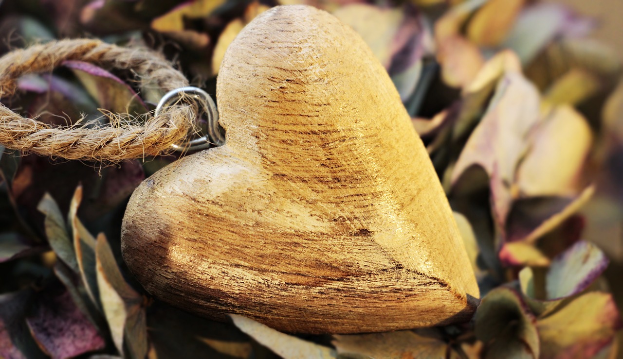 heart wooden heart hydrangea free photo