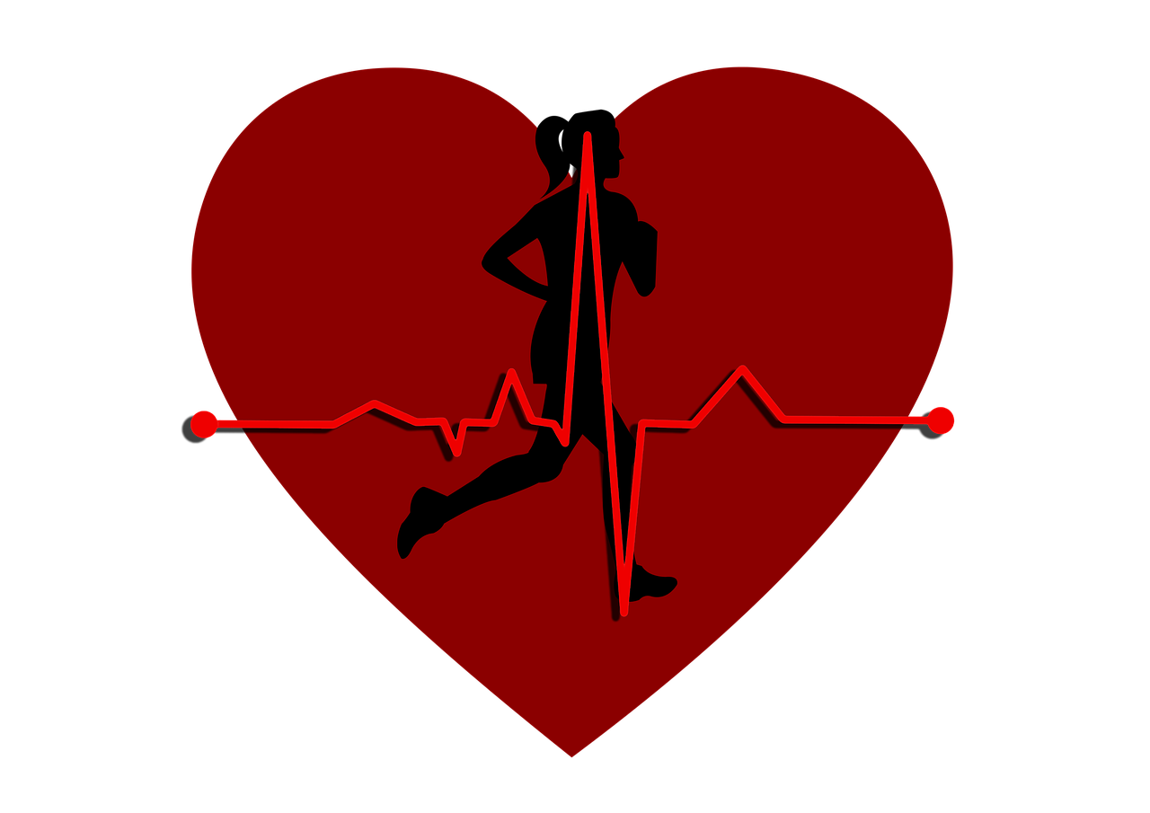 Heart,pulse,circuit,sport,movement - free image from needpix.com