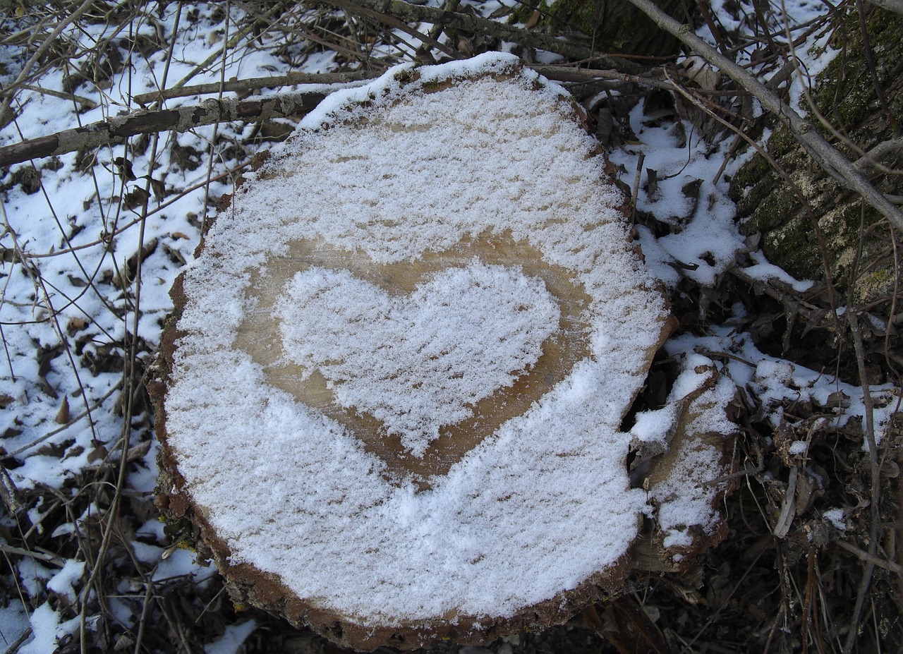 heart snow tree stump free photo