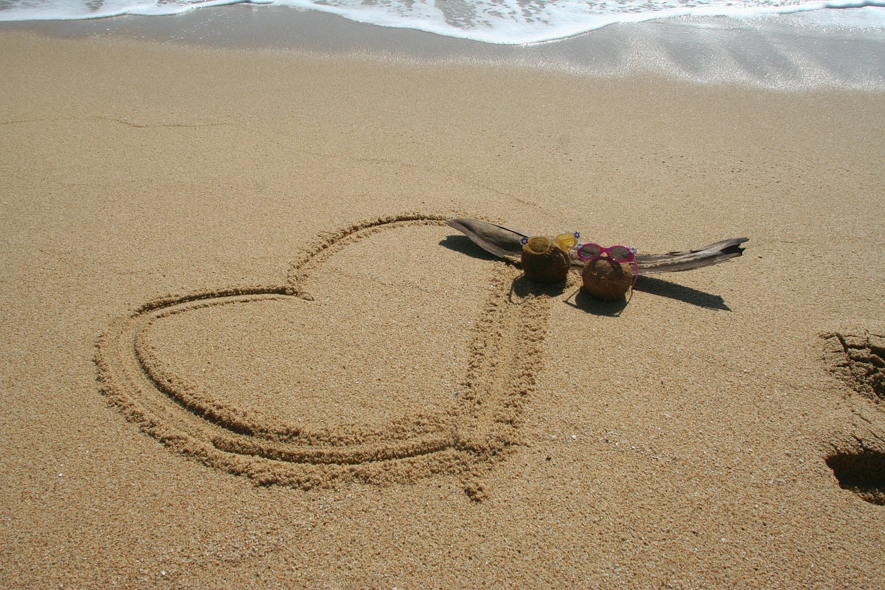 heart love coconut free photo