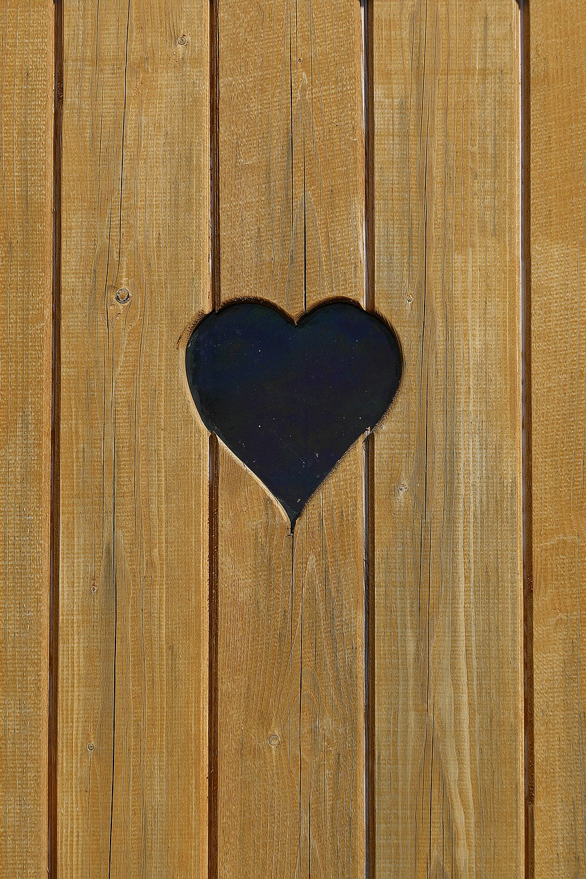 heart loo wood free photo