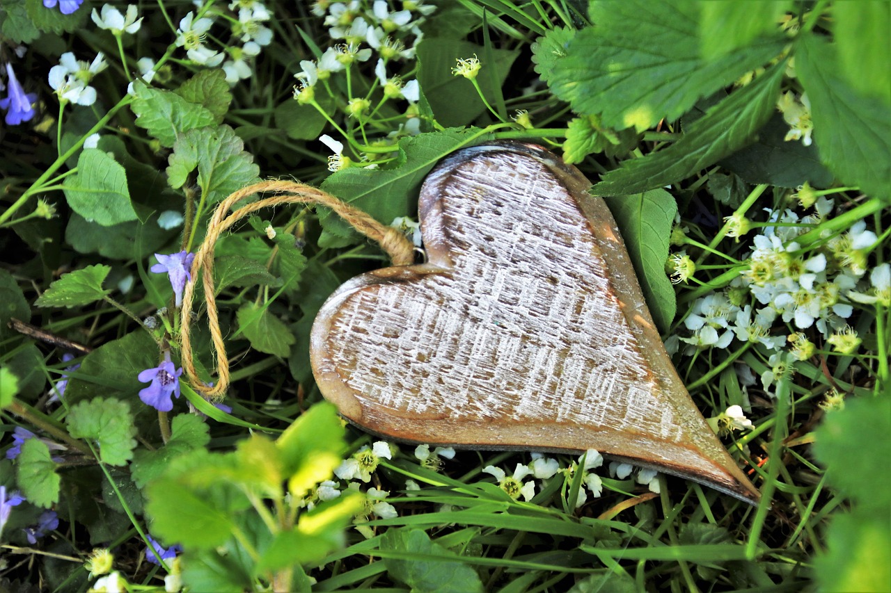 heart  spring  wooden free photo