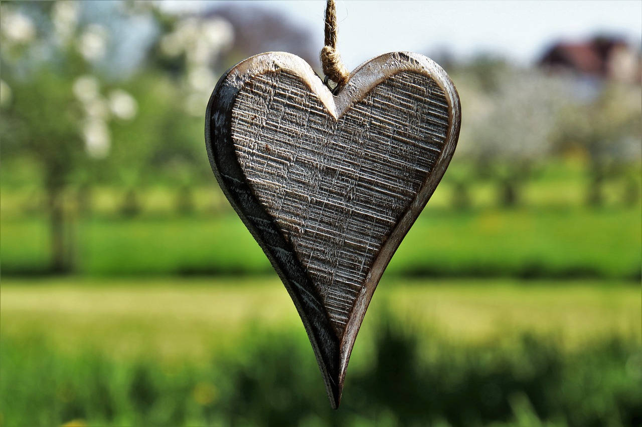 heart  wooden  spring free photo