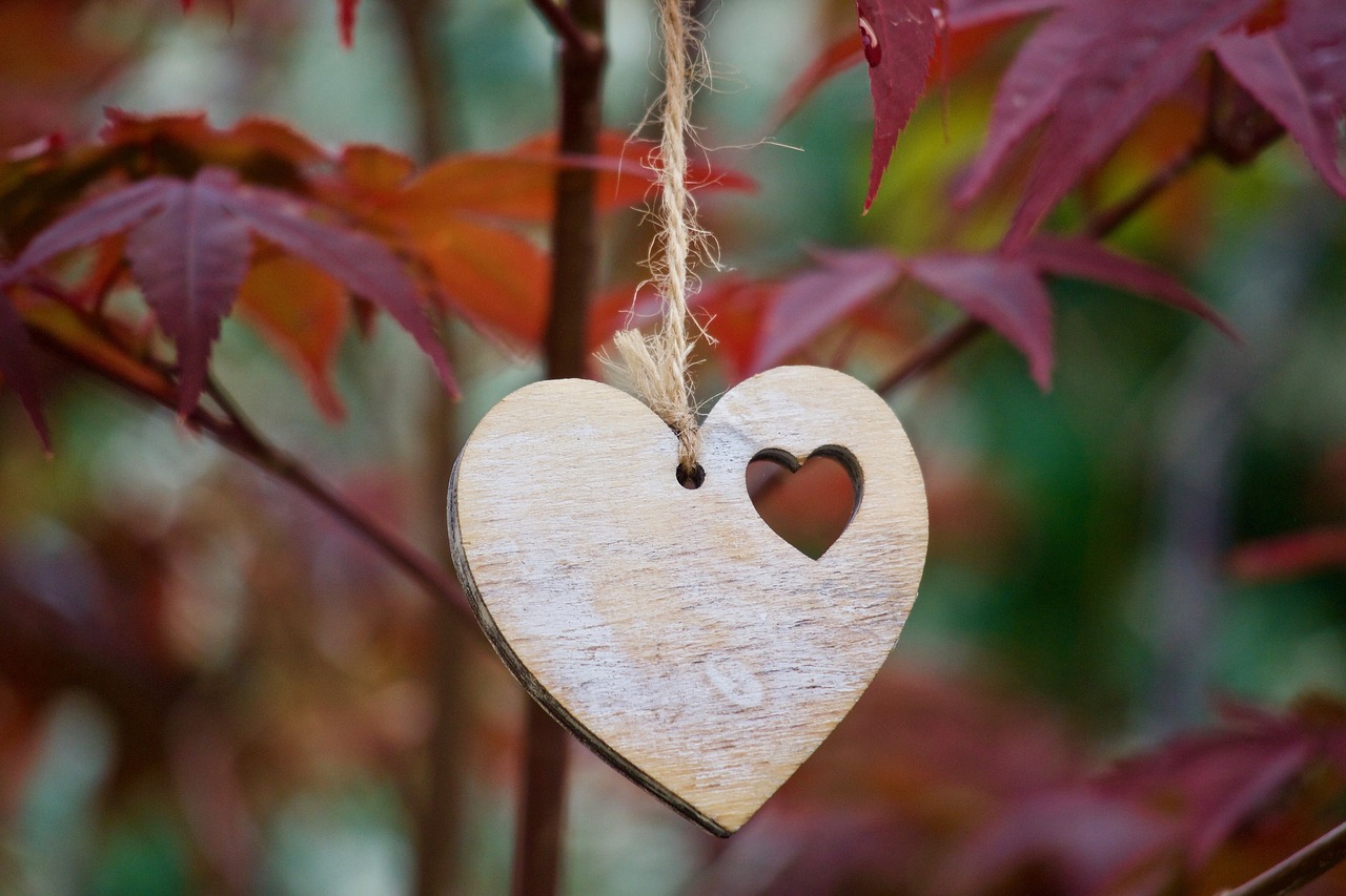 heart  love  romance free photo