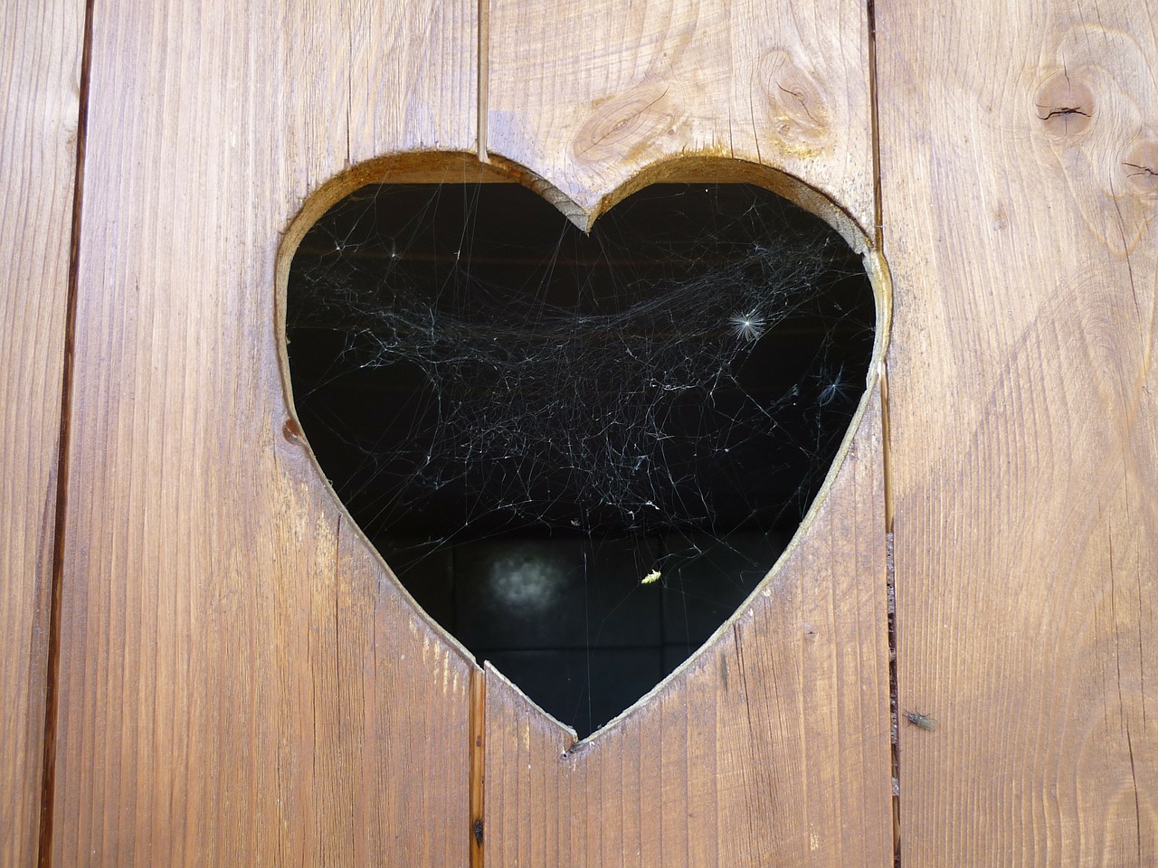 heart door wood free photo