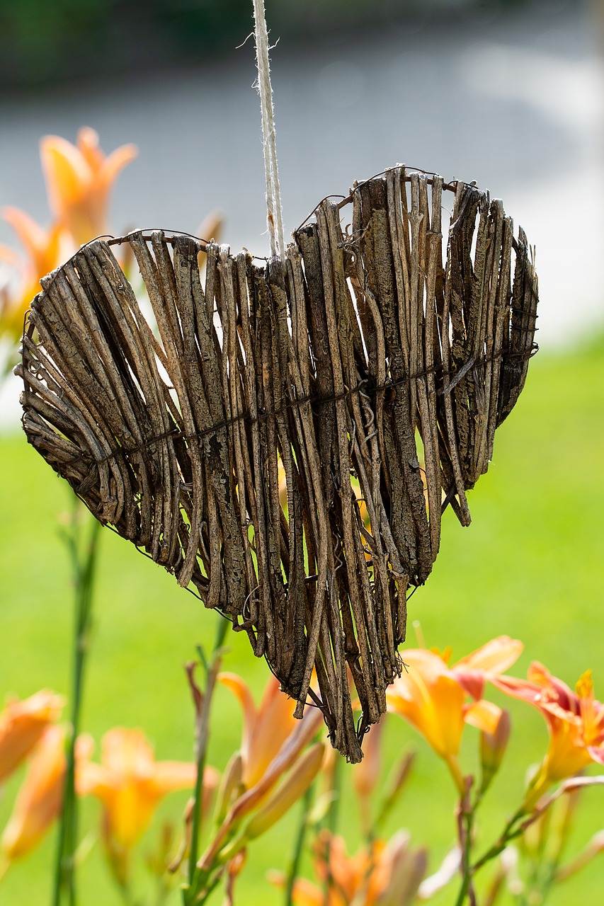 heart  wooden heart  willow heart free photo