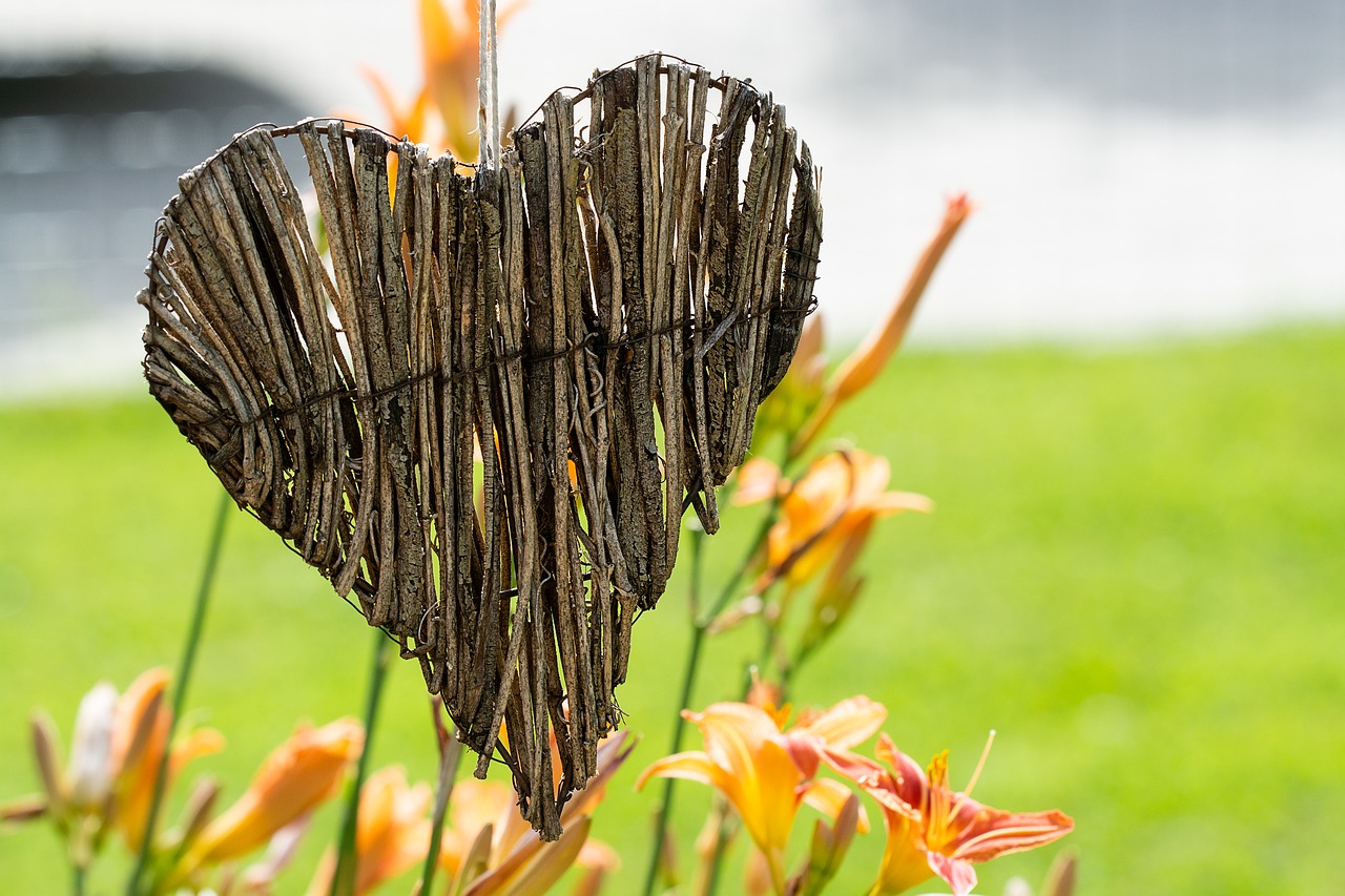 heart  wood  wooden heart free photo