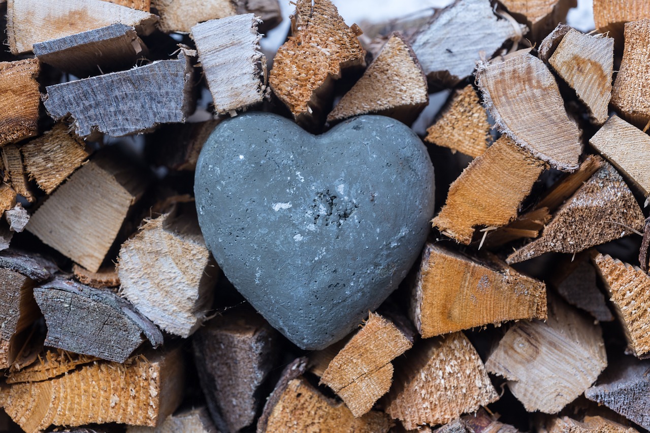 heart  wood  bavaria free photo