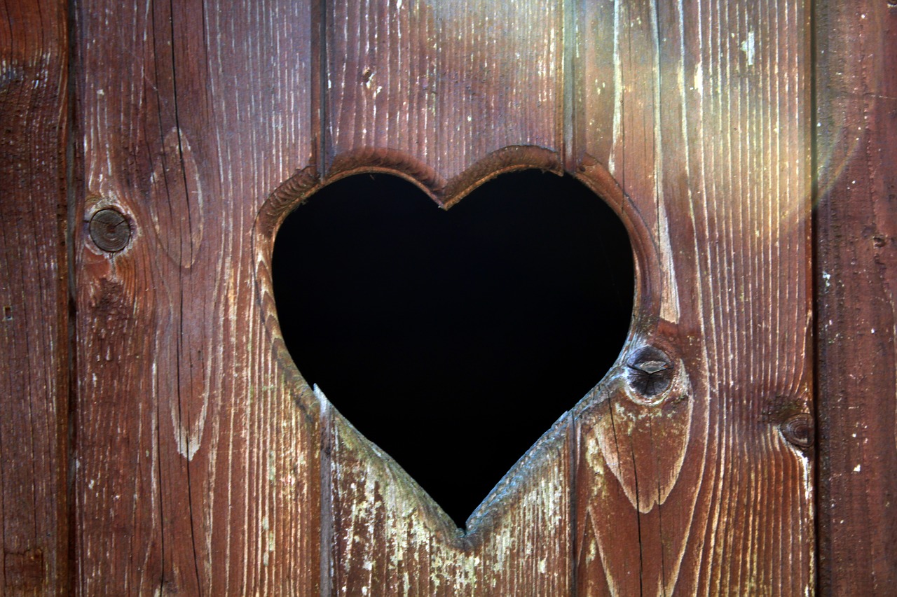 heart  wood  toilet free photo