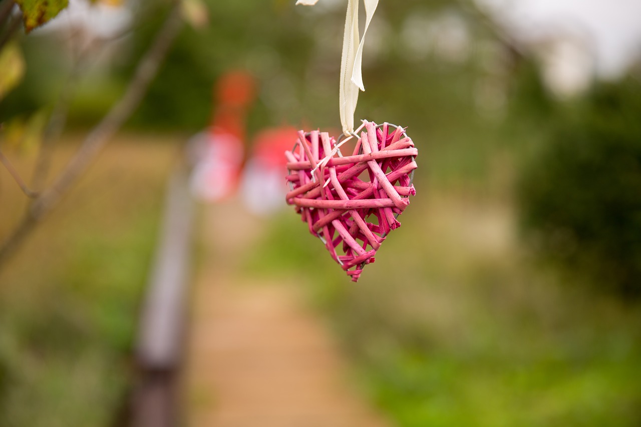 heart  decoration  ribbon free photo