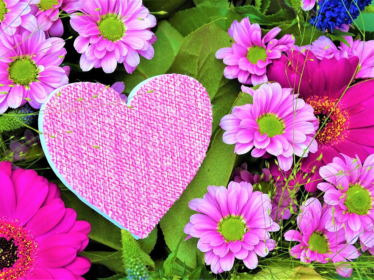 heart  flower  love free photo