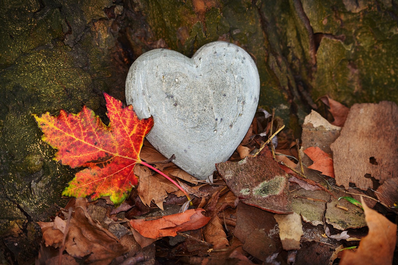 heart  stone  symbol free photo