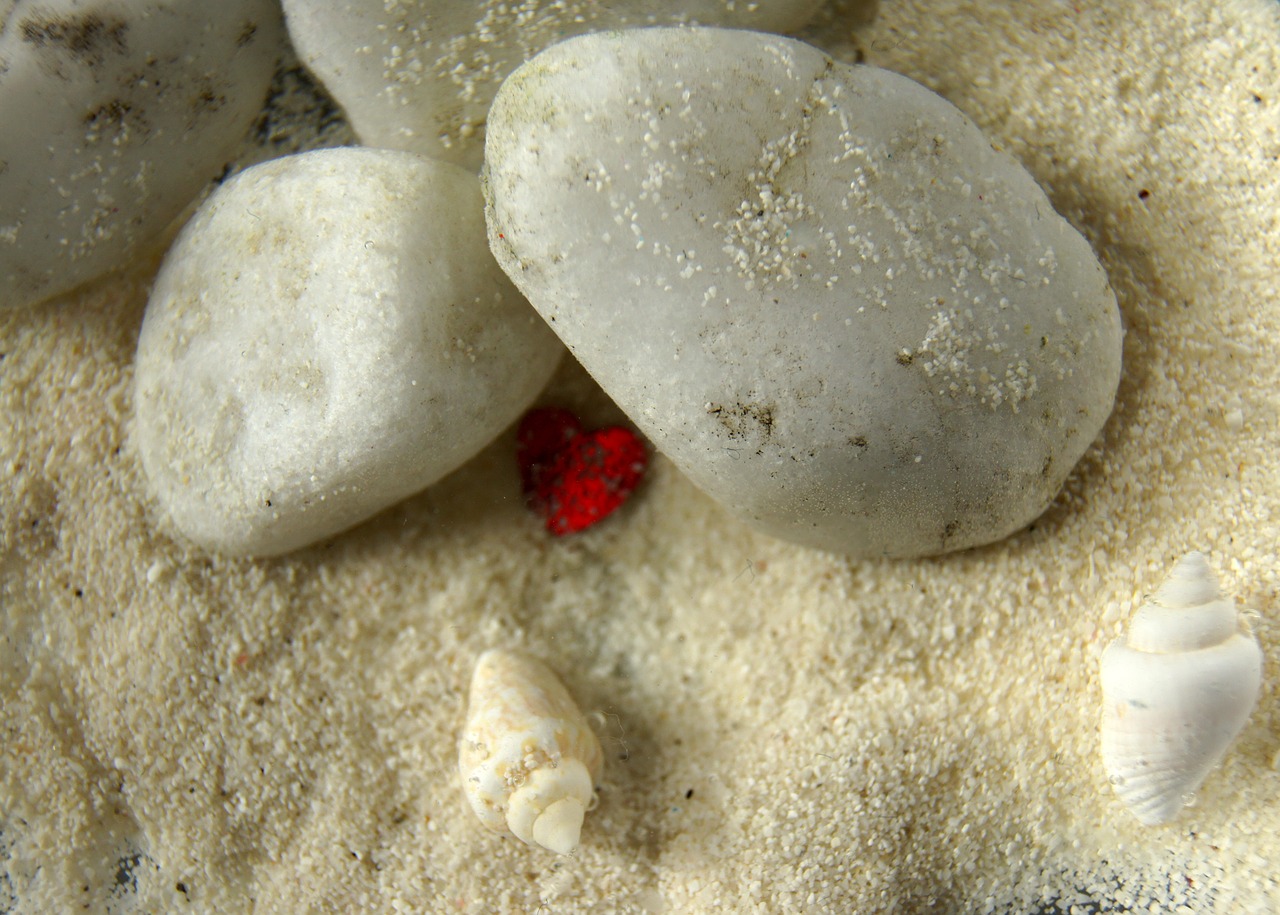 heart  stones  shell free photo