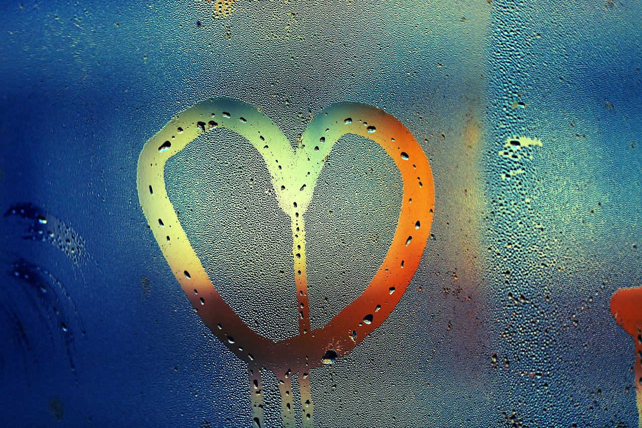 heart  condensation  pane free photo