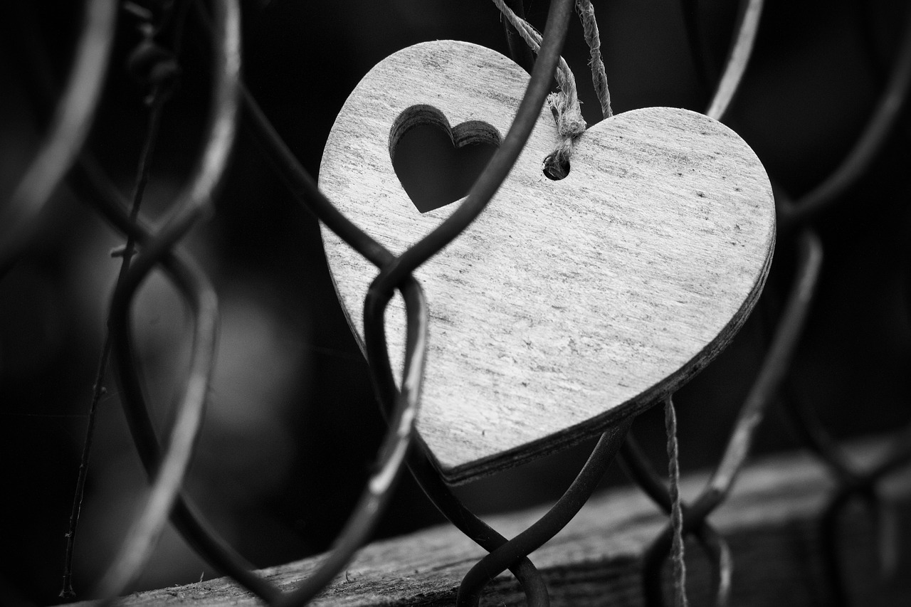 heart  love  romance free photo