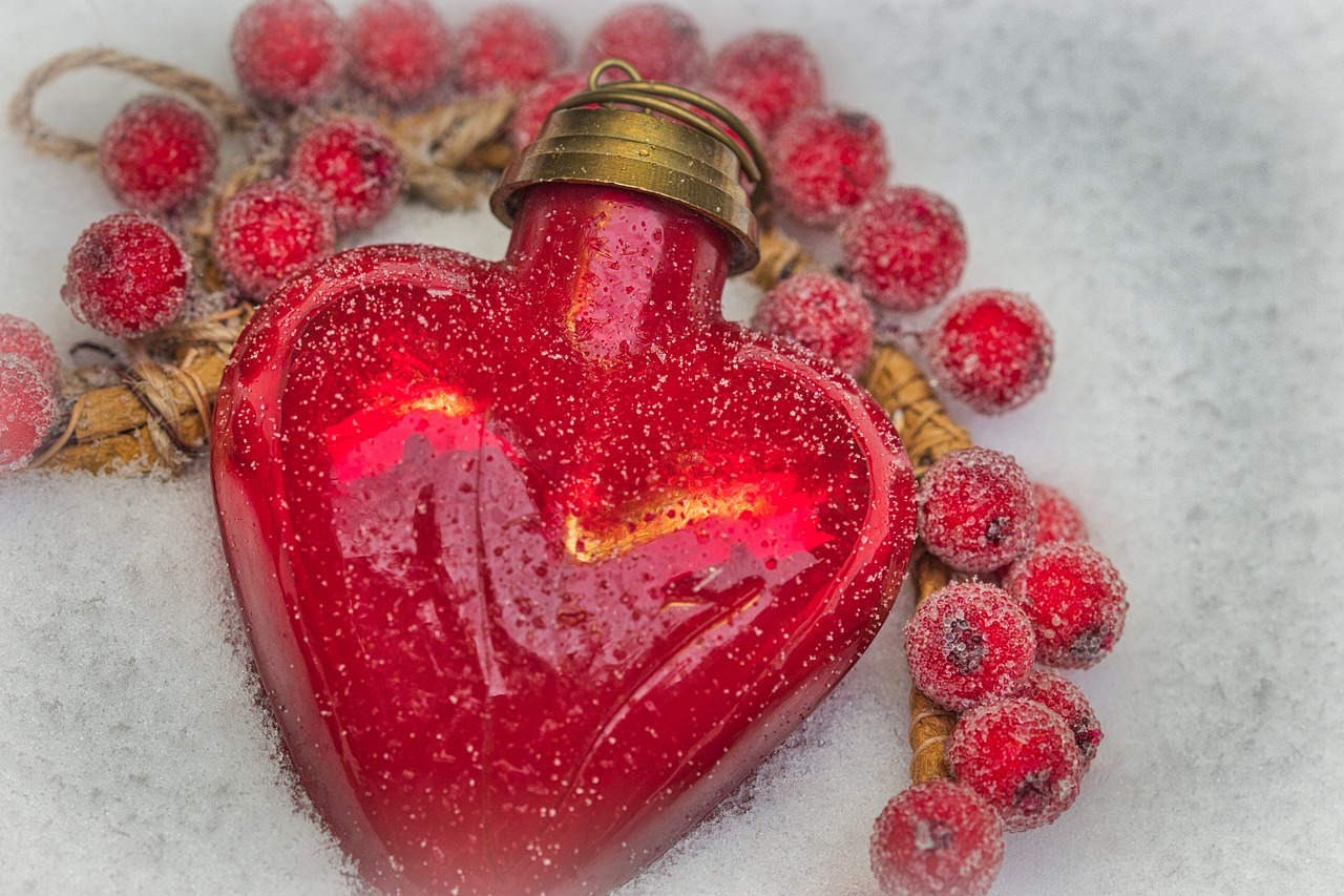 heart  red  snow free photo